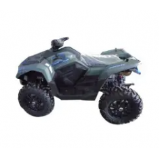 Квадроцикл ACCESS FF800UL зелений