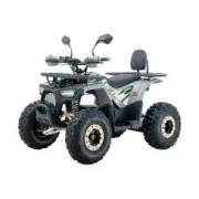 Квадроцикл акумуляторний FORTE FFD1500 Сірий