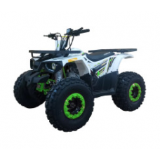 Квадроцикл FORTE Hunter 125 біло-зелений