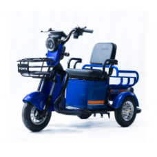 Трицикл акумуляторний Forte CARGO-P650 Синій