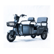 Трицикл акумуляторний Forte CARGO-P800 Сірий