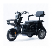 Трицикл акумуляторний Forte FAMILY-WS1000 чорний