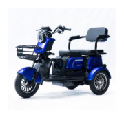 Трицикл акумуляторний Forte FAMILY-WS1000 синій
