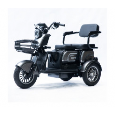 Трицикл акумуляторний Forte Family-P1000 Сірий