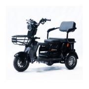 Трицикл акумуляторний Forte Family-P600 Чорний