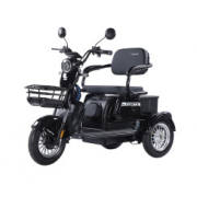 Трицикл акумуляторний Forte FAMILY-WN800 чорний