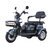 Трицикл акумуляторний Forte FAMILY-WN800 сiрий